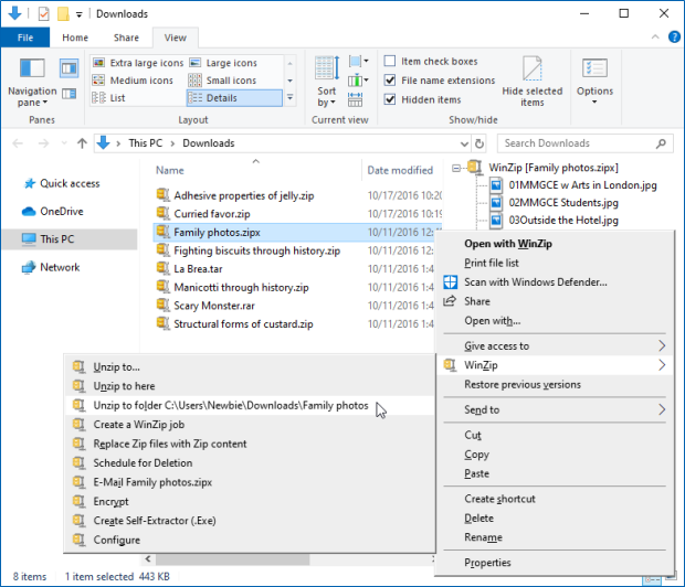 how to avoid opening a download in winzip