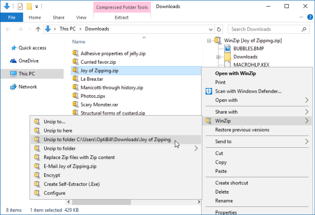 how to unzip a download file in winzip