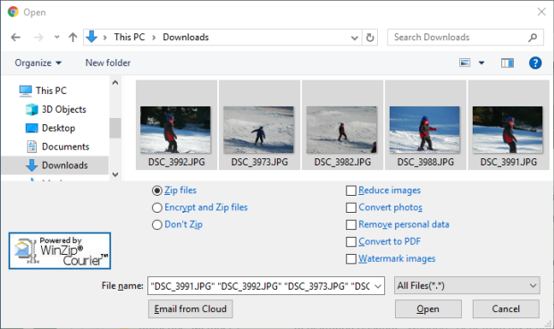Open dialog containing WinZip Courier features