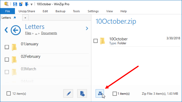 Click Unzip to folder in Zip file pane