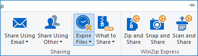 Click Expire Files to turn it on