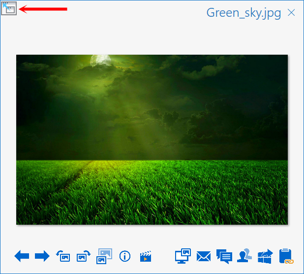 Expanded file previewer showing a photo