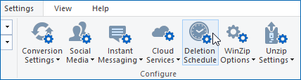 Click Deletion Schedule on the Settings tab