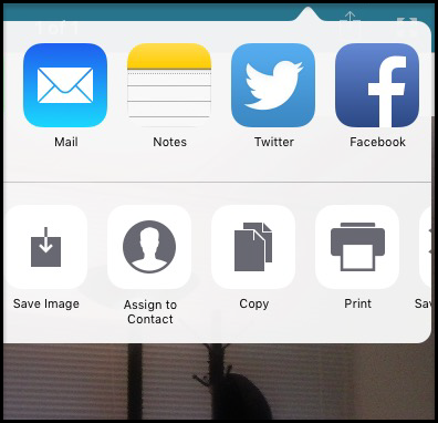 Use the Open in button to save photos in Zip files